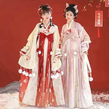 2 Цвета, Комплект Зимнего платья Hanfu в Китайском стиле Династии Сун, Милая плиссированная юбка в кроличьей тематике, Элегантное пальто с пуховым краем